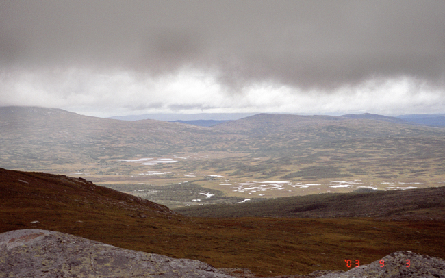 20030903_1.jpg