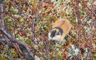 20110921_024A.jpg