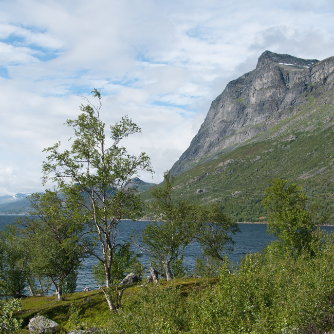 20120806_033.jpg
