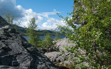 20120808_057.jpg